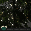 50 5mm Warm White SoftTwinkle LED Christmas Lights, 4" Spacing