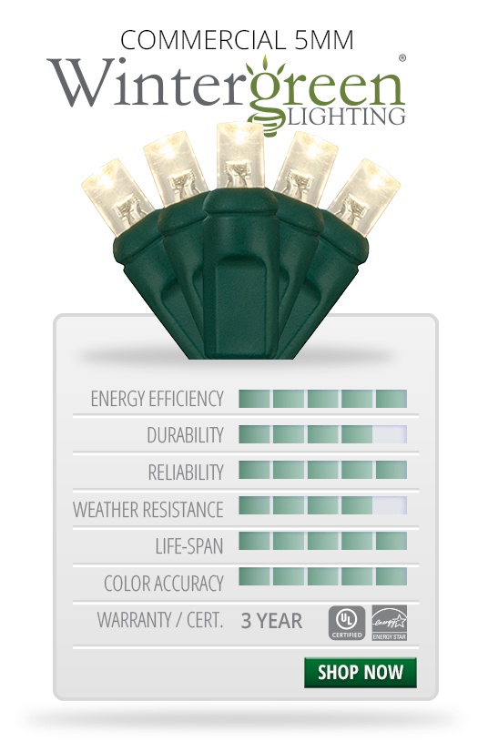 5mm christmas lights wintergreen lighting