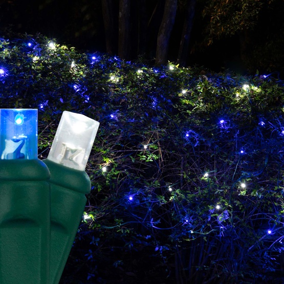 5mm 4' x 6' Blue, Cool White LED Net Lights, Green Wire