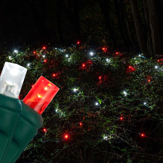 5mm 4' x 6' Red, Cool White LED Net Lights, Green Wire