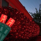 5mm Red LED Net Lights, Green Wire