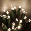 50 5mm Warm White SoftTwinkle LED Christmas Lights, 4" Spacing