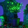 15" Green Starburst Lighted Branches, Green LED Twinkle Lights, 3 pc