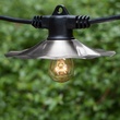S14 Transparent Clear, 11 Watt Replacement Bulbs