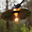 S14 Transparent Clear, 11 Watt Replacement Bulbs
