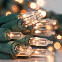 Battery operated mini lights