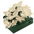 20 Warm White Battery Operated Star LED Lights, Green Wire