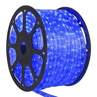 Blue Rope Lights