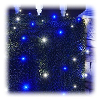 Blue and White LED Net Lights