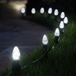 C7 Cool White OptiCore&reg LED Christmas Light Bulbs, Box of 25
