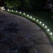 C7 Cool White OptiCore&reg LED Christmas Light Bulbs, Box of 25