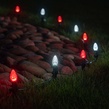 C7 Cool White OptiCore&reg LED Christmas Light Bulbs, Box of 25