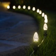 C7 Warm White OptiCore&reg LED Christmas Light Bulbs, Box of 25