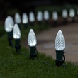 C9 Cool White OptiCore&reg LED Christmas Light Bulbs, Box of 25