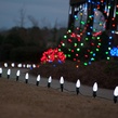 Kringle Traditions TM C9 120V Dimmable Cool White LED Christmas Light Bulbs