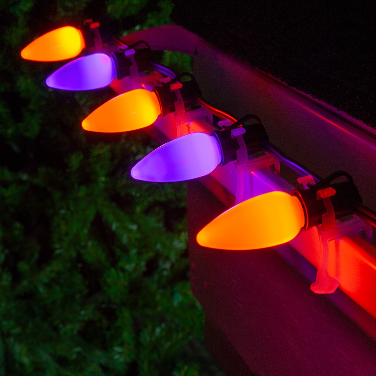 C9 LED Purple Amber Smooth OptiCore