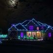 C9 Purple OptiCore&reg LED Christmas Light Bulbs