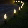 C9 Warm White OptiCore&reg LED Christmas Light Bulbs, Box of 25