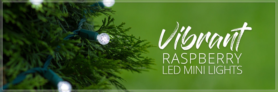 Raspberry G12 LED Mini Lights