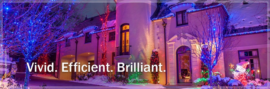 LED Christmas Lights