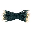 50 Clear Christmas Tree Mini Lights, 6" Spacing, Green Wire