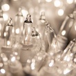100 Clear Christmas Tree Mini Lights, 2.5" Spacing, White Wire