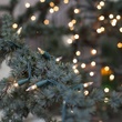 100 Clear Christmas Tree Mini Lights, 4" Spacing, Green Wire