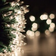 100 Clear Twinkle Christmas Tree Mini Lights, 6" Spacing, Green Wire