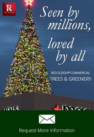 Commercial Christmas Trees