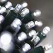 70 5mm Cool White LED Christmas Lights, 4" Spacing