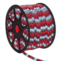 Themed Rope Light