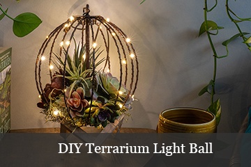 DIY Terrarium Light Ball