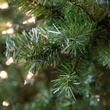 Slender Douglas Fir Prelit Tree