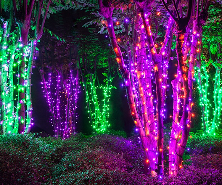 Halloween Light Wrapped Trees