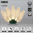 25 C9 Warm White LED Christmas Lights, 8" Spacing