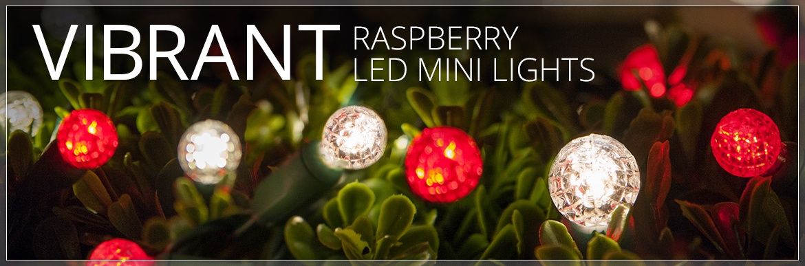 Raspberry G12 LED Mini Lights