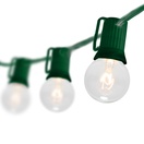 G40 Clear Patio String Lights, Green Wire