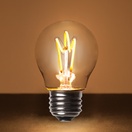 G45 Warm White Glass FlexFilament TM LED Edison Bulb Globe Light Bulb Transparent