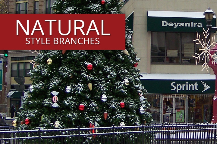 Giant Everest Commercial Christmas Trees