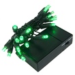 20 Green Battery Operated 5mm LED Christmas Lights, Green Wire