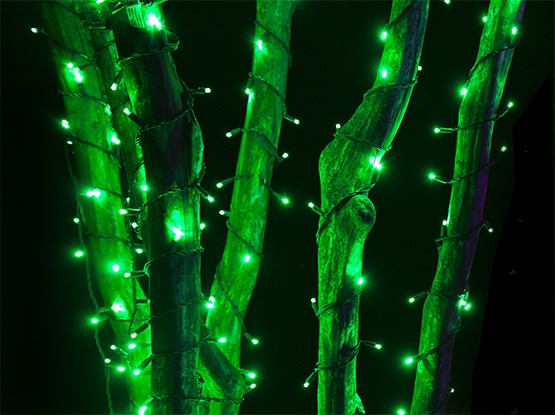 Green Christmas Lights