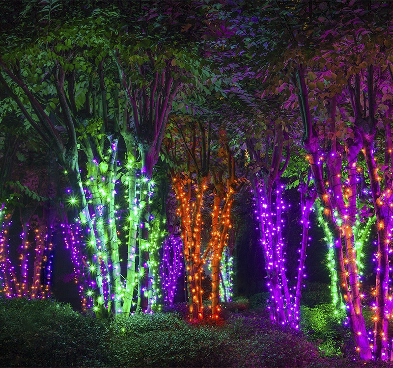 Create an electric forest with Halloween light wrapped trees!