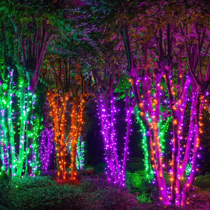 Halloween Tree Lights