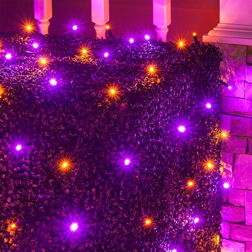 Net Lights for Halloween