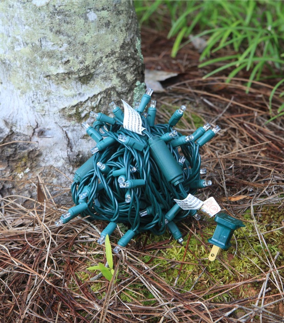 How to Wrap a Tree with Lights