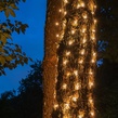 6" x 12' Trunk Wrap - 150 Clear Lights, Brown Wire