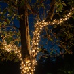 6" x 12' Trunk Wrap - 150 Clear Lights, Brown Wire