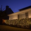 4' x 6' Net Lights - 150 Clear Lamps - Green Wire