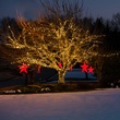 50 Warm White Outdoor LED Christmas Tree Lights, Mini 5MM