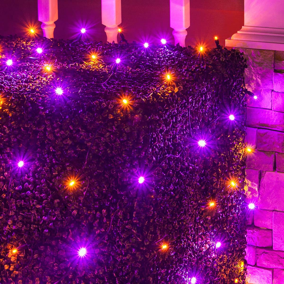 Purple and Orange Net Lights